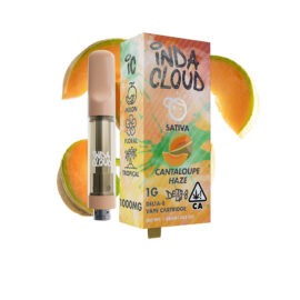 Cantaloup Haze