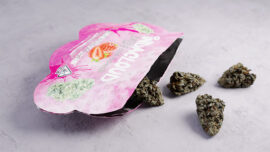 Strawberry litter Open 4
