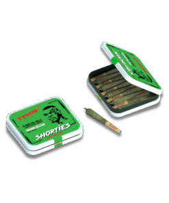 Northern Lights