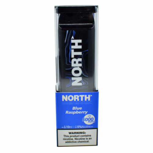 North 10ML 5000 PuffsRechargeable Disposable Vape Device With Mesh Coil E liquid Battery Indicator blue raspberry