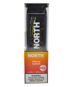North 10ML 5000 PuffsRechargeable Disposable Vape Device With Mesh Coil E liquid Battery Indicator cherry lemon
