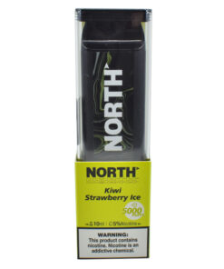 North 10ML 5000 PuffsRechargeable Disposable Vape Device With Mesh Coil E liquid Battery Indicator kiwi strawberry ice