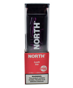 North 10ML 5000 PuffsRechargeable Disposable Vape Device With Mesh Coil E liquid Battery Indicator lush ice