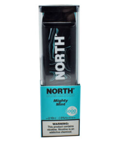 North 10ML 5000 PuffsRechargeable Disposable Vape Device With Mesh Coil E liquid Battery Indicator mighty mint