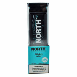 North 10ML 5000 PuffsRechargeable Disposable Vape Device With Mesh Coil E liquid Battery Indicator mighty mint