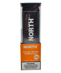 North 10ML 5000 PuffsRechargeable Disposable Vape Device With Mesh Coil E liquid Battery Indicator orange mango watermelon