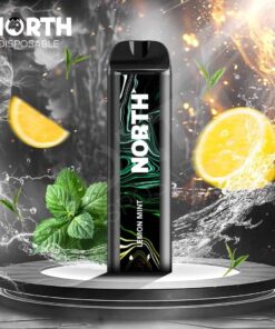 North5000DisposableLemonmint