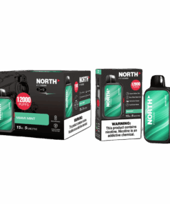North FT12000 miami mint wholesale 12387