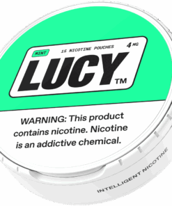 Mint Pouches 4mg 1