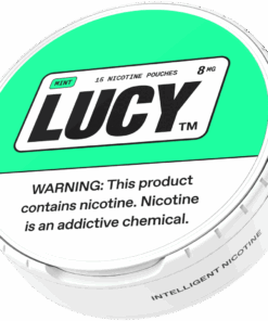 Mint Pouches 8mg 1