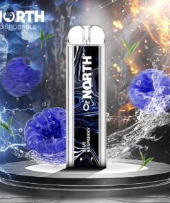 North5000Disposable0nicotinBlueraspberry
