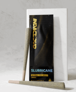 Copy of slurricane